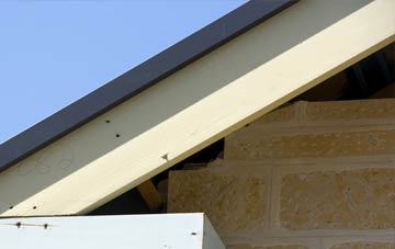 Ash Street fascia repairs