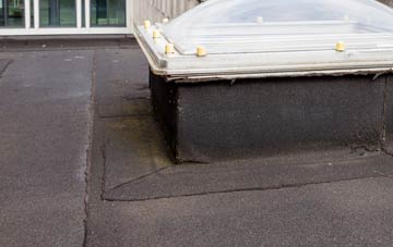 disadvantages of Ash Street flat roofs
