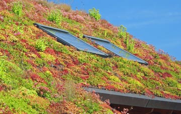 Ash Street living roof systems