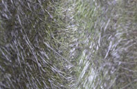 Ash Street fibreglass roof work