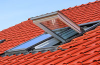 Ash Street roof window