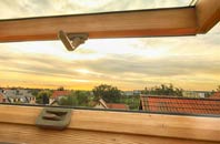 rated Ash Street roof window companies