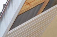 rated Ash Street soffit repair companies